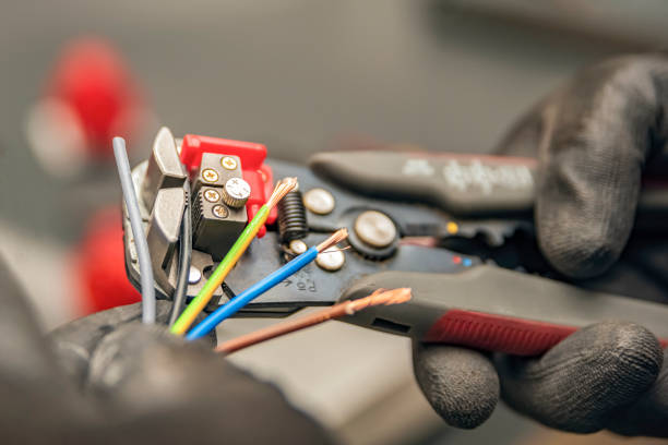 Best Home Electrical Repair  in Frankford, DE