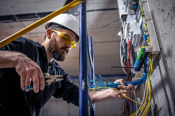 Best Electrical Rewiring Services  in Frankford, DE
