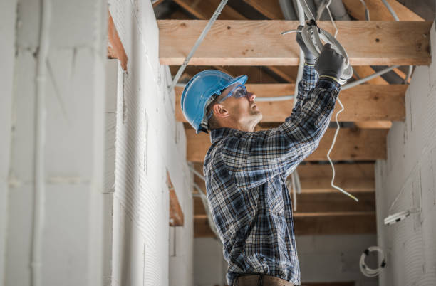 Best Electrical Repair Services  in Frankford, DE