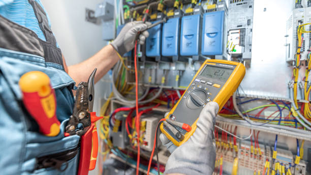 Best Electric Panel Repair  in Frankford, DE